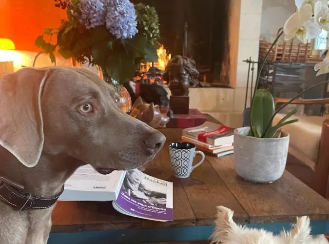 Séjour chez l'habitant Domaine De La Vove *