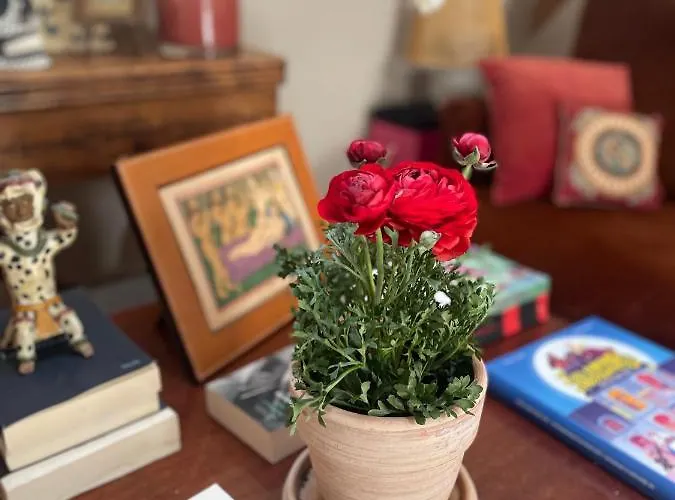 Séjour chez l'habitant Domaine De La Vove *