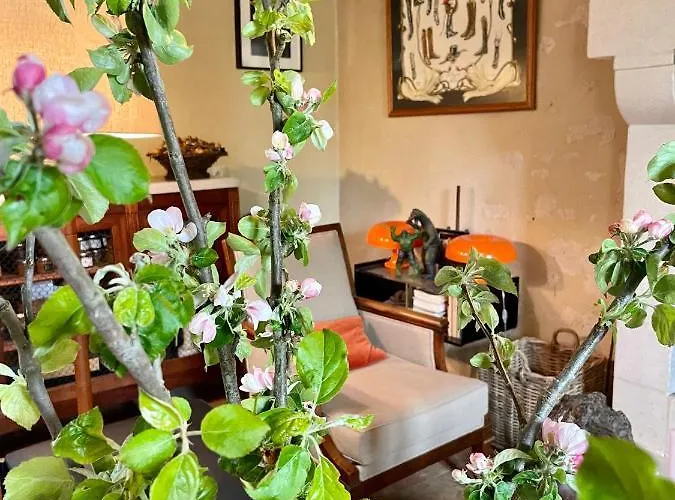 Domaine De La Vove Homestay