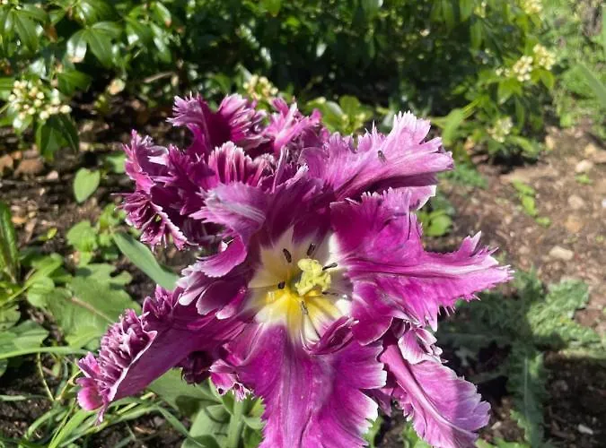 Privatunterkunft Domaine De La Vove *