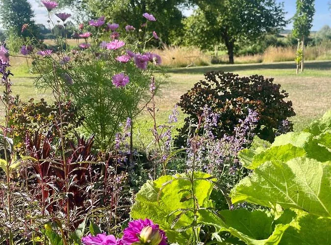 Privatunterkunft Domaine De La Vove Corbon (Orne)