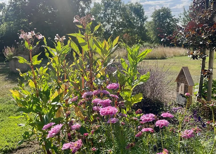 Domaine De La Vove Corbon (Orne)