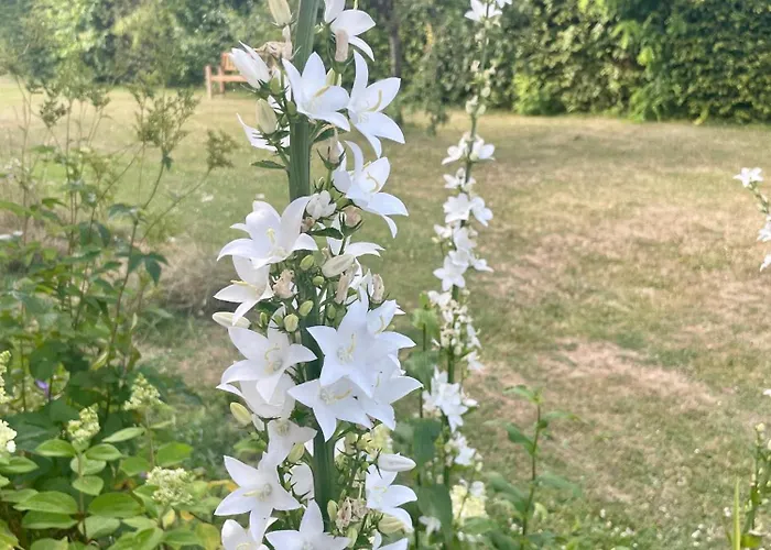 Domaine De La Vove Séjour chez l'habitant *