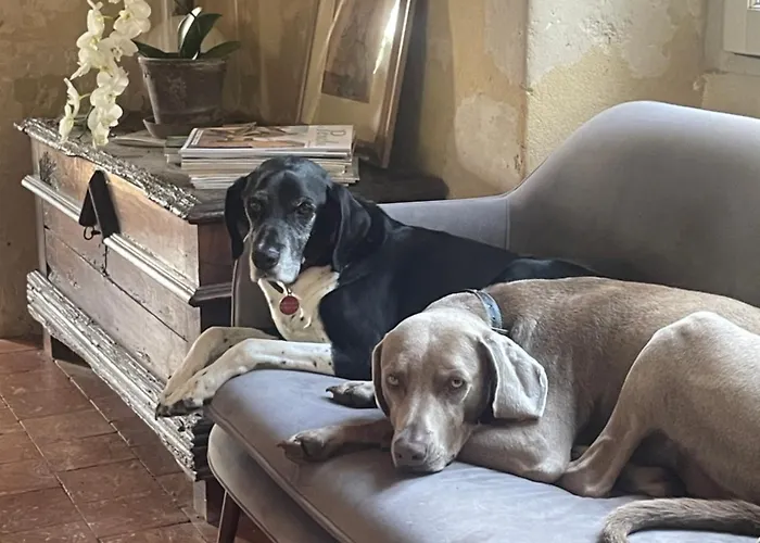 Domaine De La Vove Corbon (Orne)